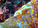 P1070013