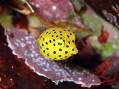 P9112205