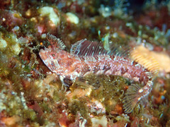 P3140146