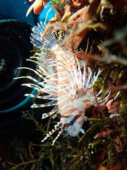 P3120008