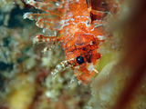 P2210036