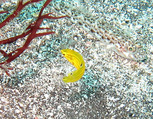 IMG_0100