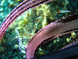IMG_0412