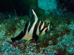P3130090