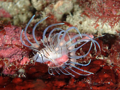 PB070315