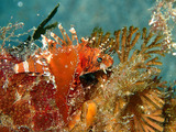 P1250170