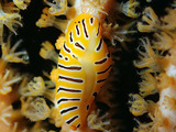 P2210016