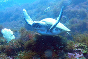 P1120956