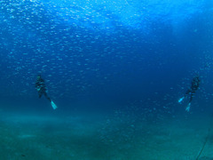 2L7A8515