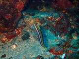 P1170090
