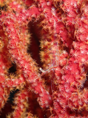 PB070235