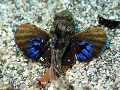 P3130107