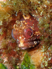 P3140116