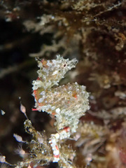 P3260036