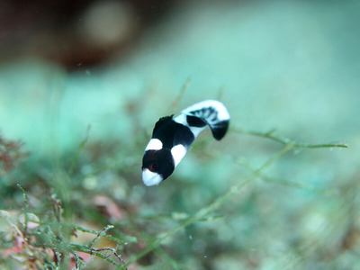 line_oa_chat_240723_161303