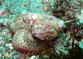 IMG_0040