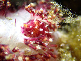 P1250176