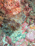 IMG_0042