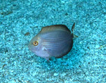 IMG_0164