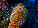 P1070022