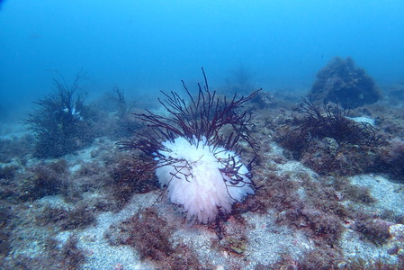 P6150469