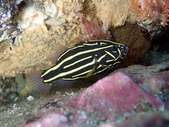 P9112201