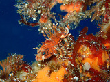 P1170055