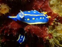 P2070119