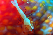 P1070017
