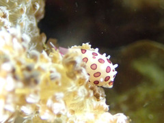 P2261219