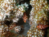 P2210023