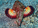 P1130946