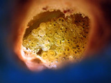 P1170107