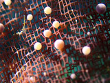 P1130957