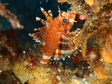 P1130927
