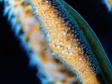 P1250137