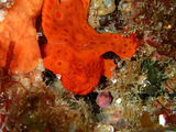 P1250126