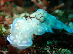 P3120024
