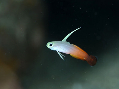 line_oa_chat_240723_161300