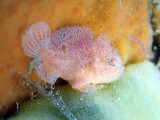 P1250158
