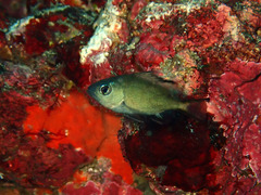 PB070259