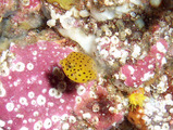 P7090391