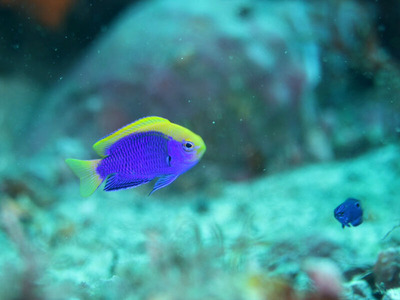 line_oa_chat_240723_161309