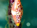 P2210045