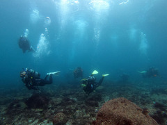 GOPR8468