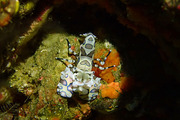 P1120913