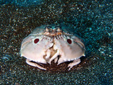 P1250188