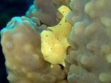 P1130891