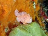 P1250151