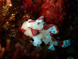 P1070052